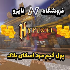 پول اسکای بلاک هایپیکسل | Hypixel Skyblock Coin