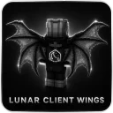 Lunar wings